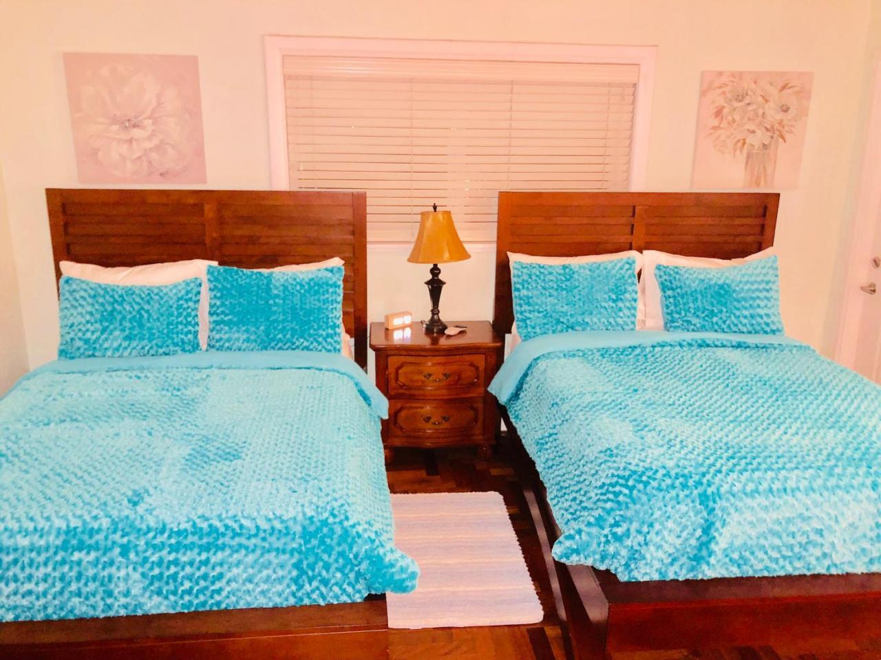 Affittacamere Blue House Miami
