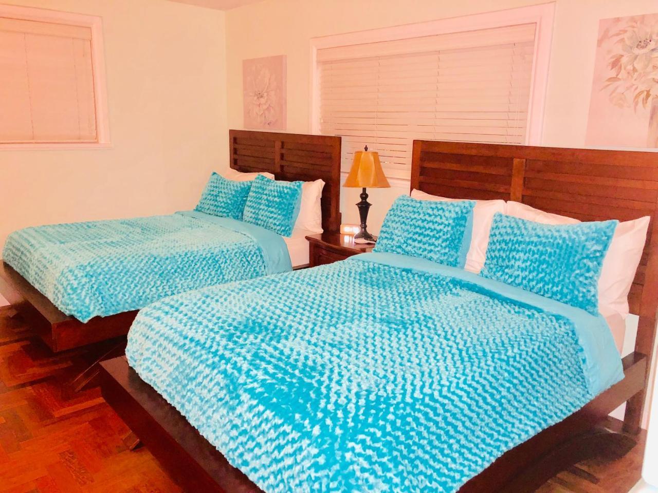 Blue House Miami Affittacamere