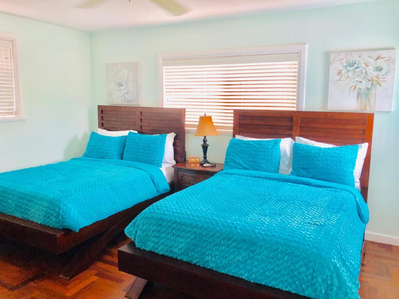 Blue House Miami Affittacamere 3*
